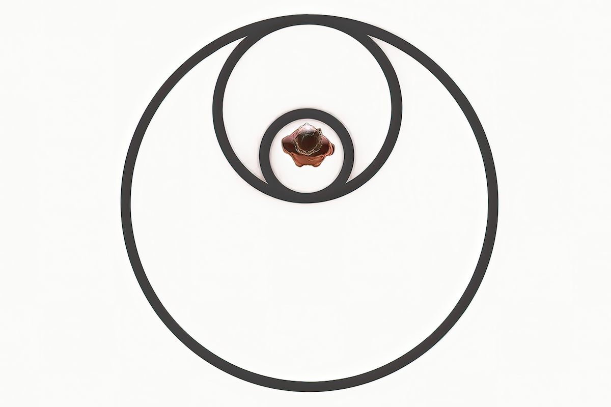 Three overlapping dark circular paths on a white background, used as a visual metaphor for interconnected systems.
